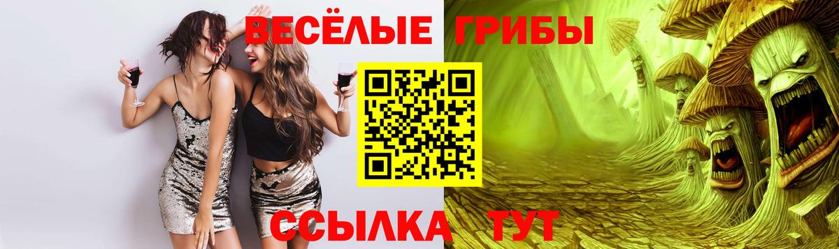 Псилоцибиновые грибы GOLDEN TEACHER Волжск